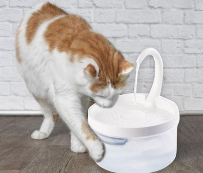 Cat Water Fountain - CatCaire