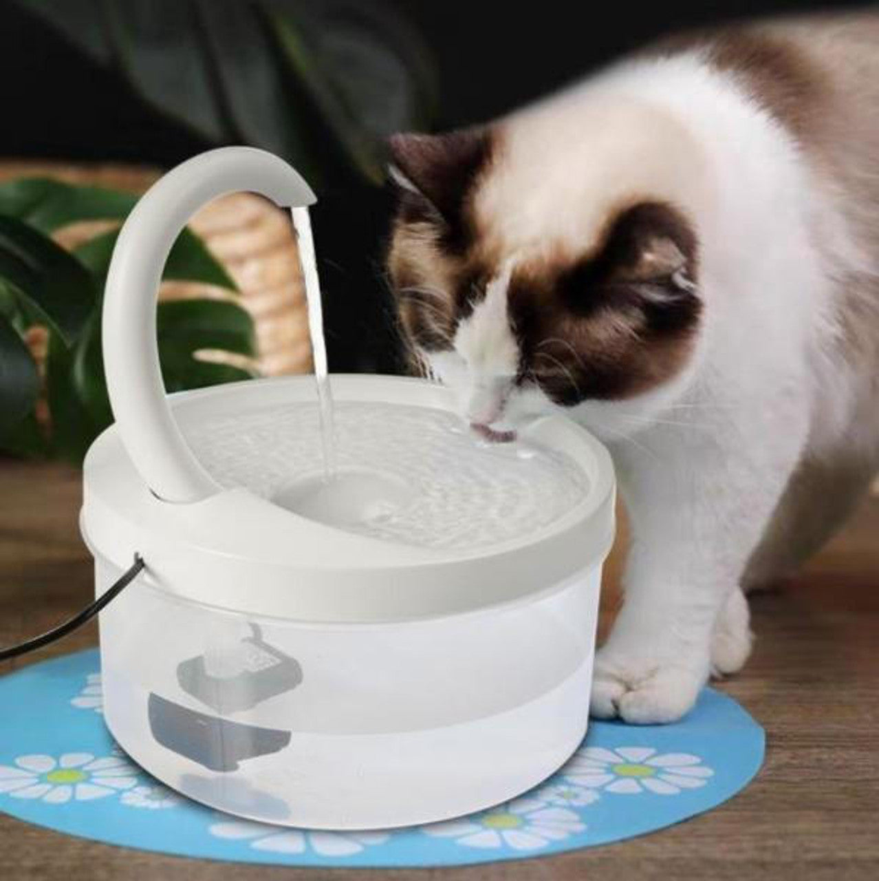 Cat Water Fountain - CatCaire