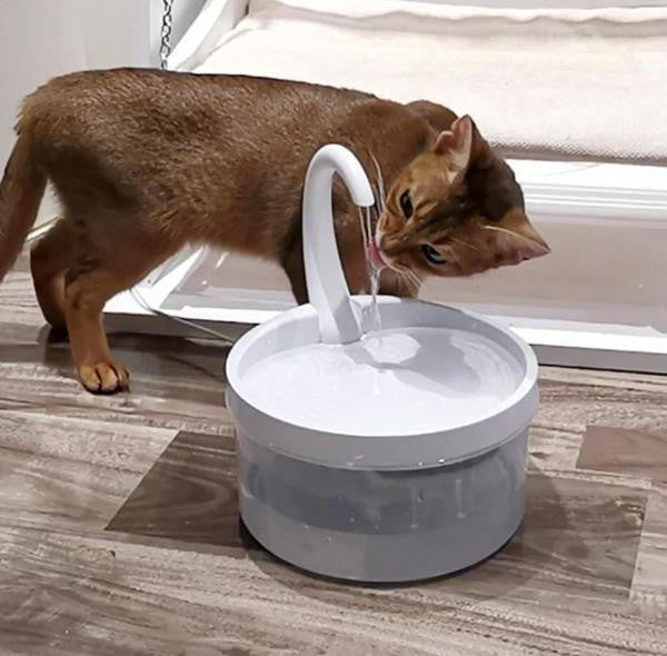Cat Water Fountain - CatCaire