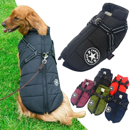 Dog Jacket